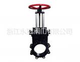 手动偏心刀闸阀PZ43